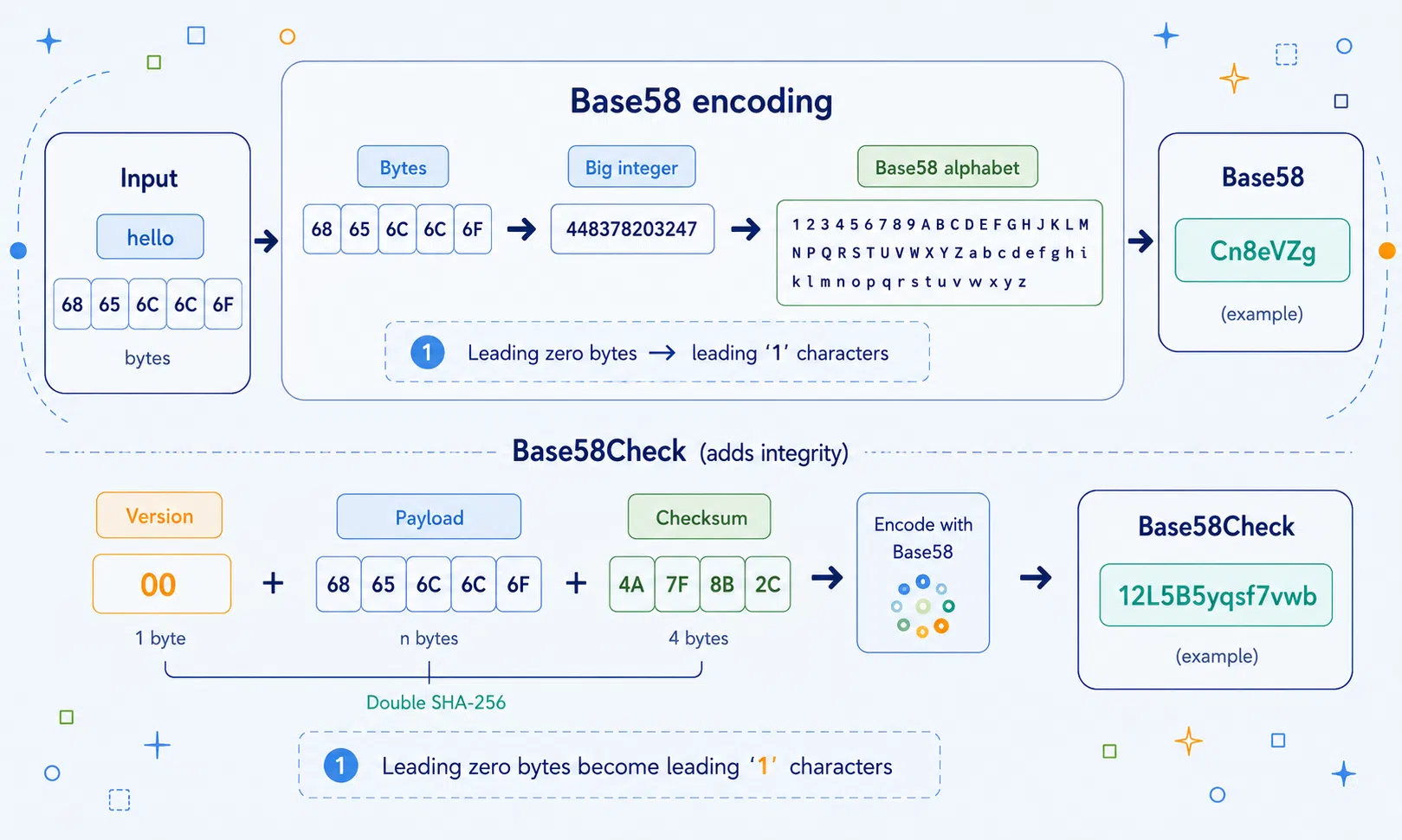 Illustration of bytes becoming Base58 text with a checksum for copy-safe identifiers